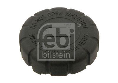 Mercedes-Benz Engine Coolant Radiator Expansion Tank Cap