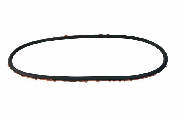 Genuine BMW Headlight Lens Gasket