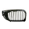 BMW Radiator Kidney Grille