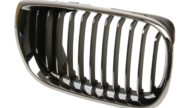 BMW Radiator Kidney Grille