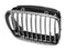 Genuine BMW Radiator Kidney Grille